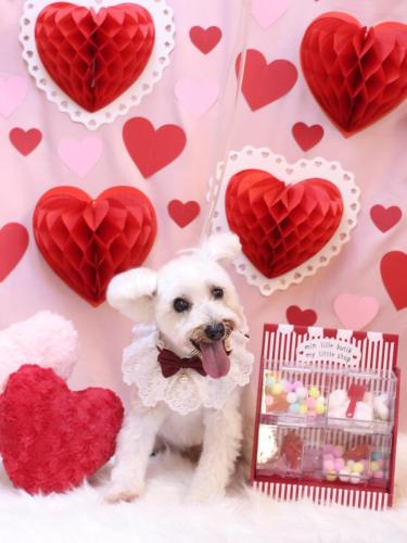 20240206天馬利ちゃん